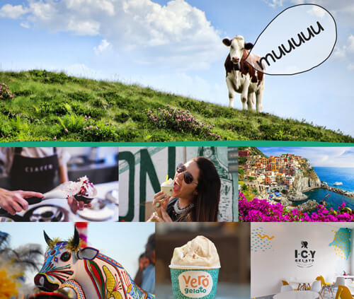 moodboard muggito